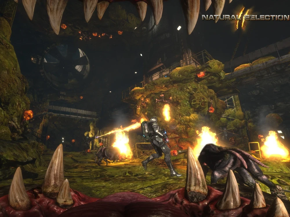 Natural Selection 2 Server Hosting