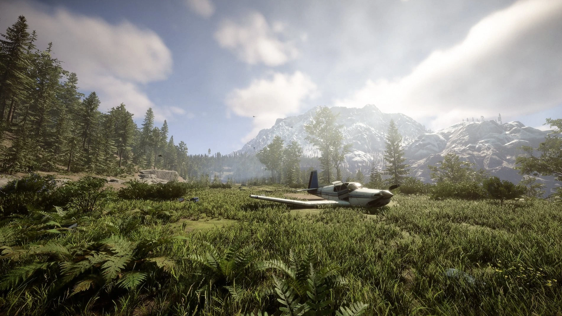 Sons of the Forest Server Hosting