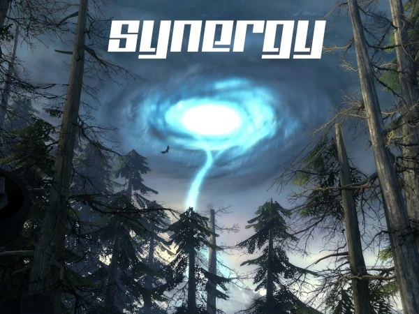 Synergy Server Hosting